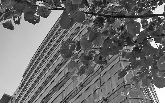 SKIMMO.NET Immobilien Fotografie