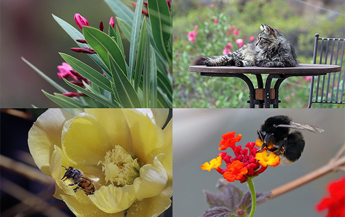 SKIMMO.NET Immobilien Fotografie